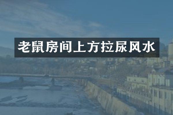 老鼠房间上方拉尿风水