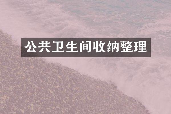 公共卫生间收纳整理