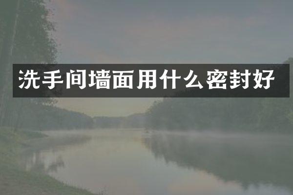 洗手间墙面用什么密封好