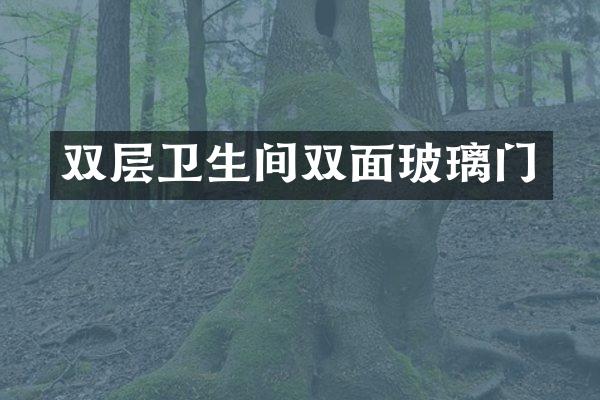 双层卫生间双面玻璃门