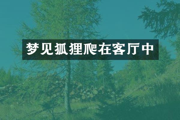 梦见狐狸爬在客厅中