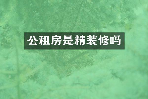 公租房是精装修吗