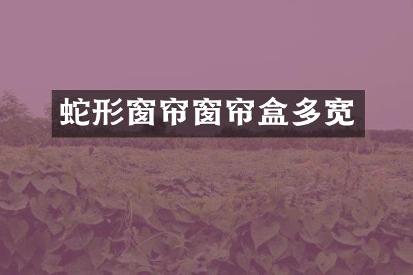 蛇形窗帘窗帘盒多宽