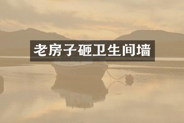 老房子砸卫生间墙