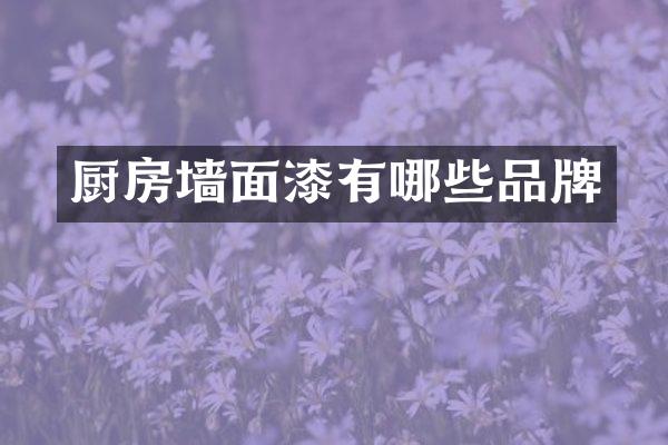 厨房墙面漆有哪些品牌