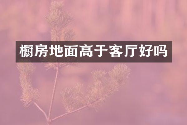橱房地面高于客厅好吗