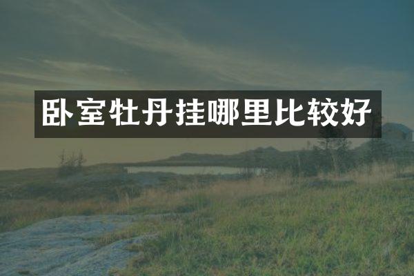 卧室牡丹挂哪里比较好