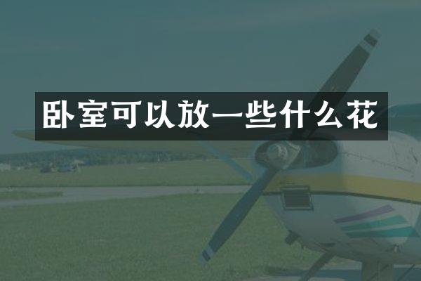 卧室可以放一些什么花