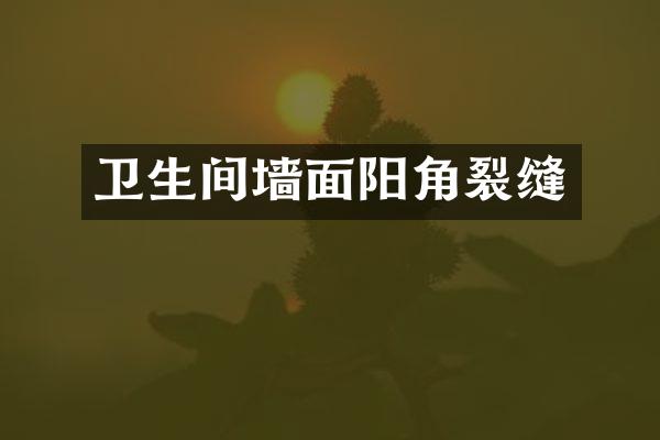 卫生间墙面阳角裂缝
