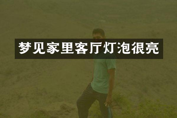 梦见家里客厅灯泡很亮