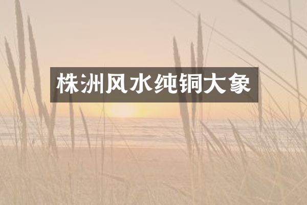 株洲风水纯铜大象