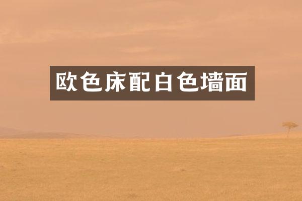 欧色床配白色墙面