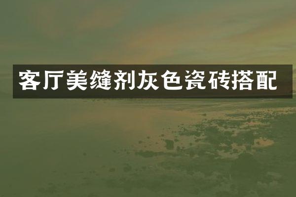 客厅美缝剂灰色瓷砖搭配