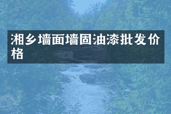 湘乡墙面墙固油漆批发价格