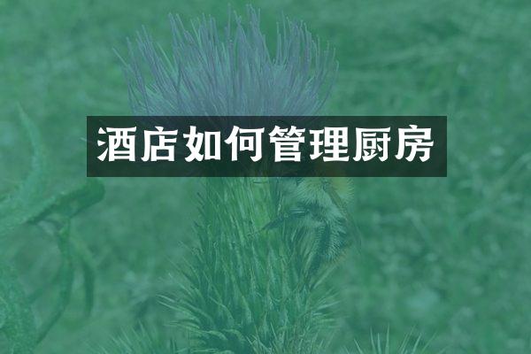 酒店如何管理厨房