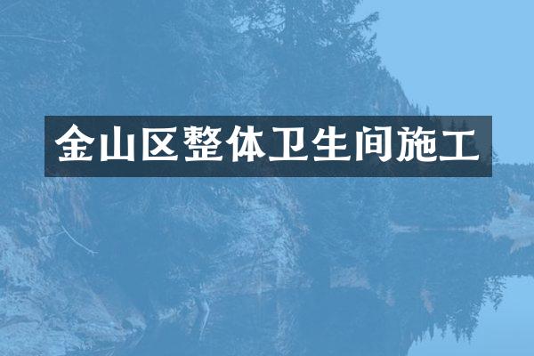 金山区整体卫生间施工