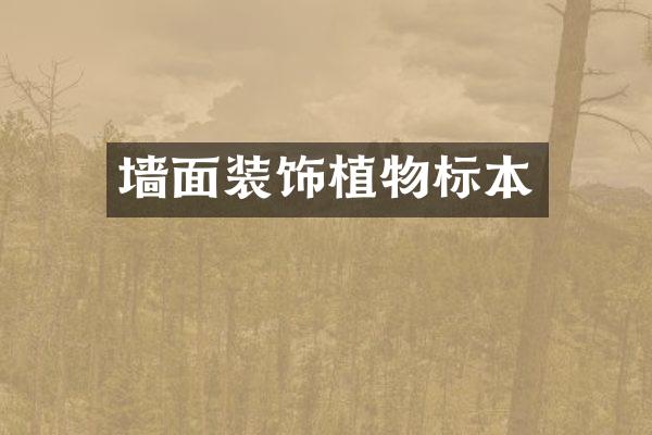 墙面装饰植物标本