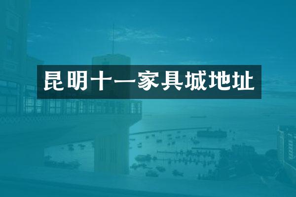 昆明十一家具城地址