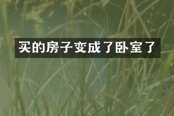 买的房子变成了卧室了
