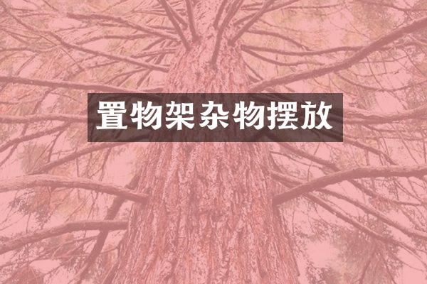 置物架杂物摆放