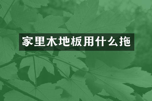 家里木地板用什么拖