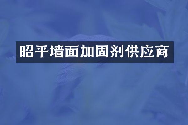 昭平墙面加固剂供应商