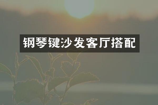 钢琴键沙发客厅搭配