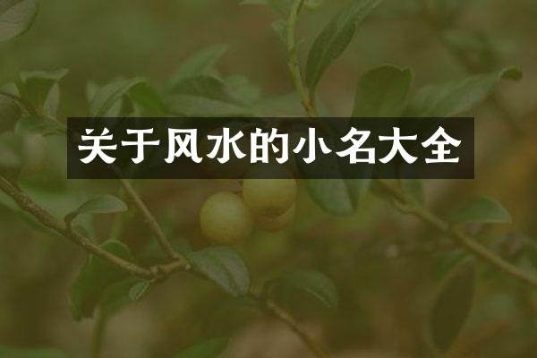 关于风水的小名大全