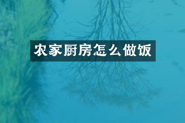 农家厨房怎么做饭