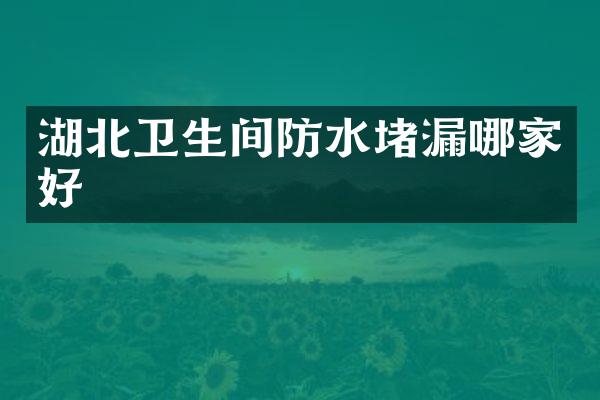 湖北卫生间防水堵漏哪家好