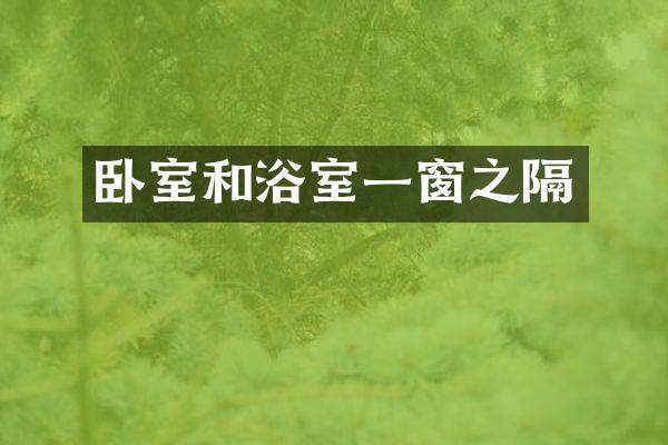 卧室和浴室一窗之隔