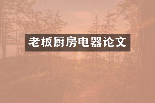 老板厨房电器论文