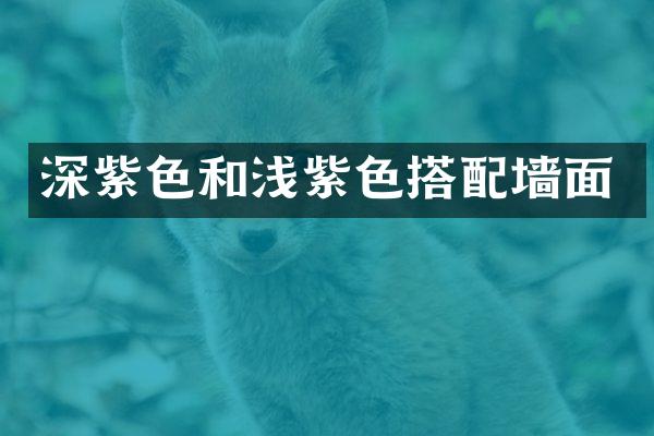 深紫色和浅紫色搭配墙面