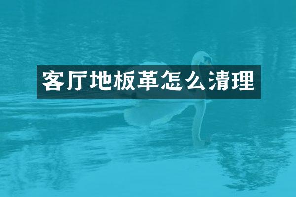 客厅地板革怎么清理