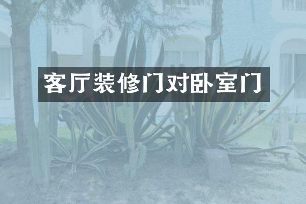 客厅装修门对卧室门