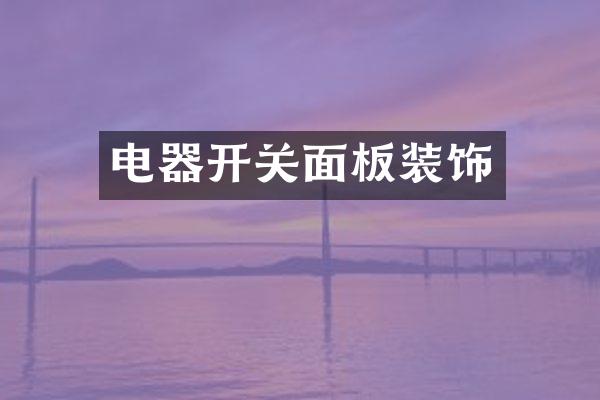 电器开关面板装饰