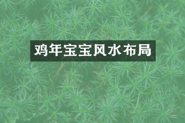 鸡年宝宝风水布局