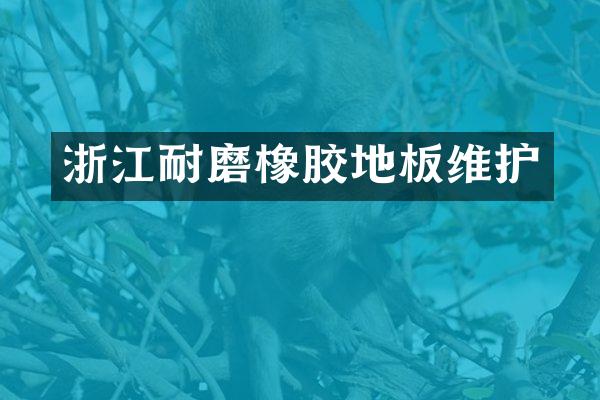 浙江耐磨橡胶地板维护