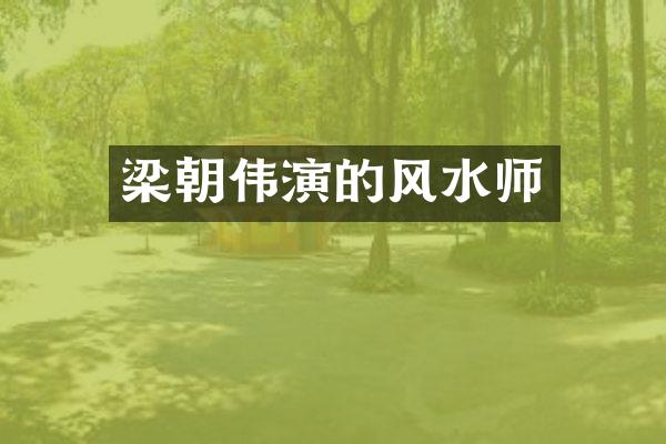 梁朝伟演的风水师