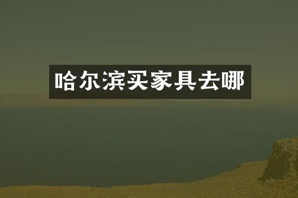 哈尔滨买家具去哪
