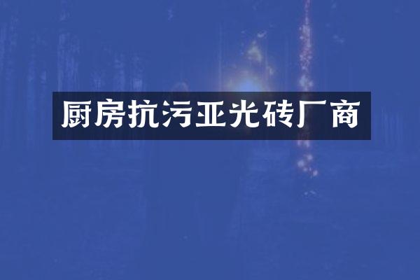 厨房抗污亚光砖厂商