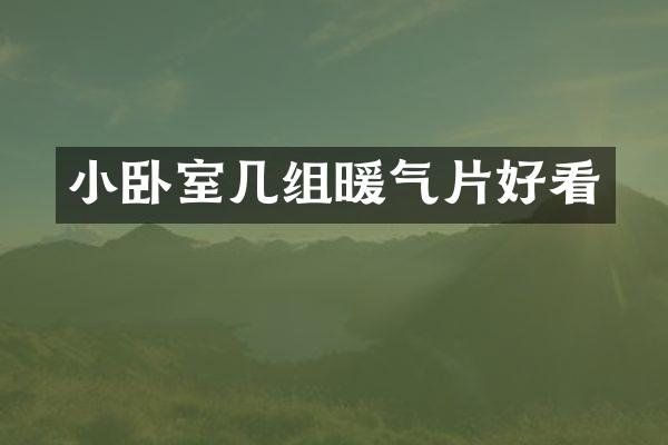 小卧室几组暖气片好看