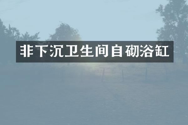 非下沉卫生间自砌浴缸