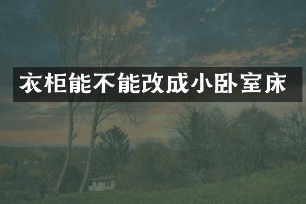 衣柜能不能改成小卧室床