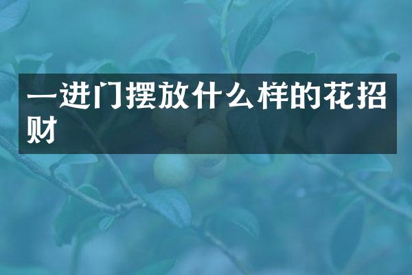 一进门摆放什么样的花招财