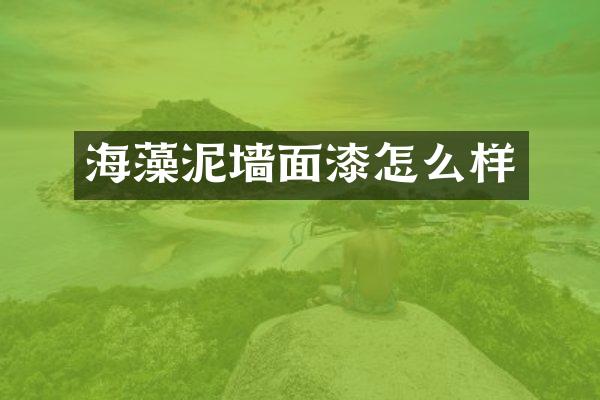 海藻泥墙面漆怎么样
