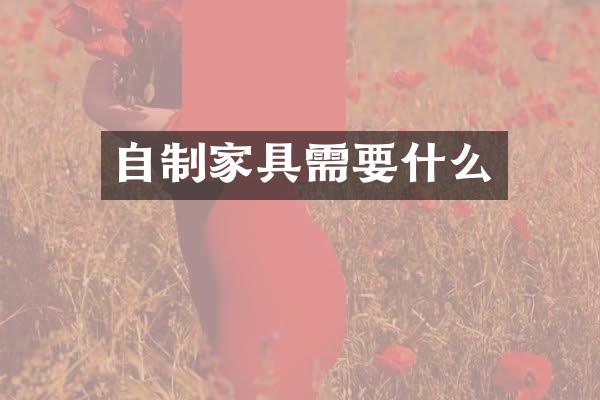 自制家具需要什么