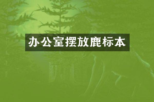 办公室摆放鹿标本