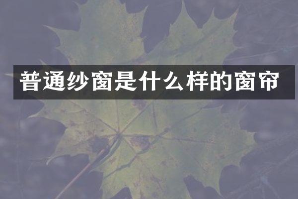 普通纱窗是什么样的窗帘