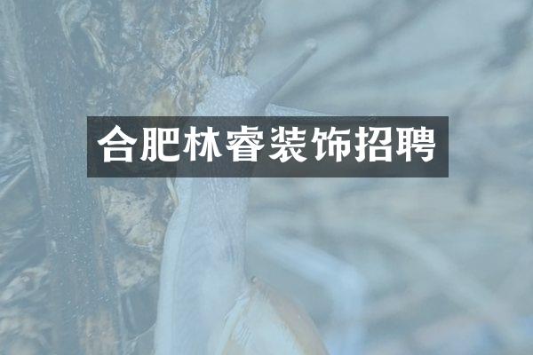 合肥林睿装饰招聘